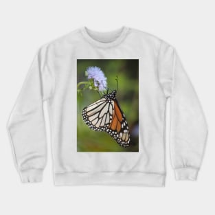 Migration Series X Crewneck Sweatshirt